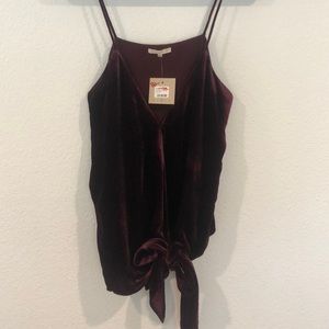 Gold Hawk velvet Camisole